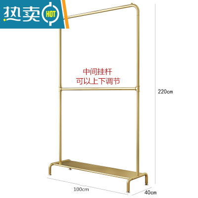 敬平多层衣架落地卧室家用挂衣服架子网红晾衣架省空间简易收纳置物架 双层可调节:带板长100高220纳米金