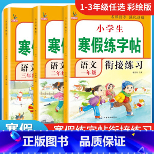 寒假同步练字帖 小学一年级 [正版]2024新寒假专项训练语文寒假练字帖一年级上册作业人教版寒假衔接下册假期练字写字练习