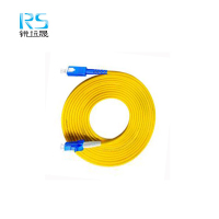 锐远晟 单模光纤尾纤 SC-LC-1m 10根/包