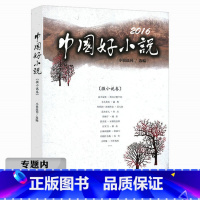 [正版]选2016中国好小说(微小说卷)//你应该阅读的小小说精选中国微型小说书籍
