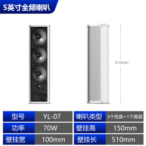 先科20W吸顶吊顶壁挂喇叭同轴吊球防水音柱天花消防音箱监控定压音响P-40