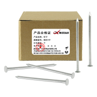 昡 钉子 铁钉3寸 个