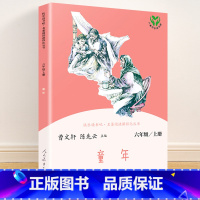 六年级上册 童年 [正版]快乐读书吧一二三四五六年级上册下册人民教育出版社小学课外书 书和大人一起读孤独的小螃蟹一只想飞