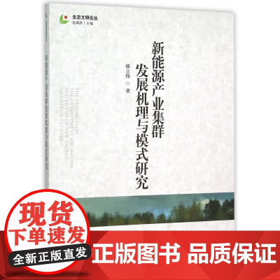 新能源产业集群发展机理与模式研究/生态文明论丛