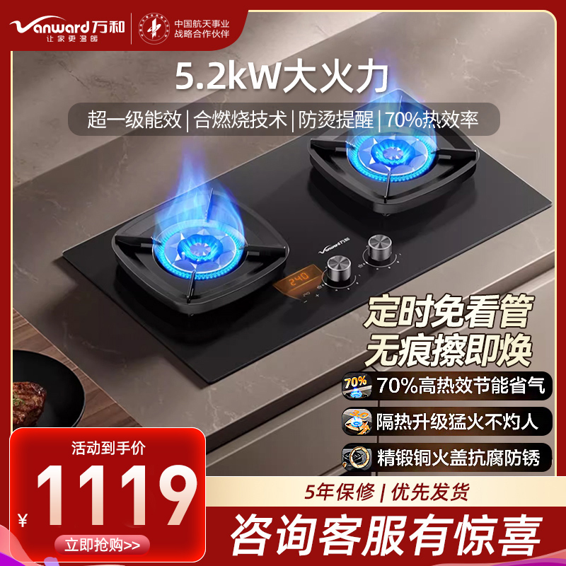 万和(Vanward)[超省星G9·定时无印面板]燃气双灶具5.2kW70%热效率烟灶家用定时关火煤气炉G9L56天然气