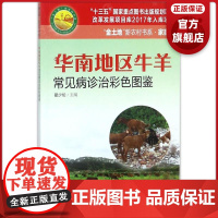 华南地区牛羊常见病诊治彩色图鉴 广东科技出版社
