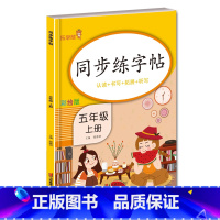 五上 语文 [正版]小学生练字帖每日一练一年级上册二年级下册三四五六年级语文同步练字帖人教版 控笔训练硬笔书法每日一练