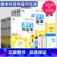 语文 人教江苏专用 九年级下 [正版]2024课时作业本七年级八年级九年级上册下册数学语文英语化学物理八上七下苏科版苏教