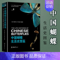 [正版] 中国蝴蝶生活史图鉴 264种国内蝴蝶的生活史及幼期特征 蝴蝶的分类生物学等基础知识 蝴蝶生活史图鉴大全书籍