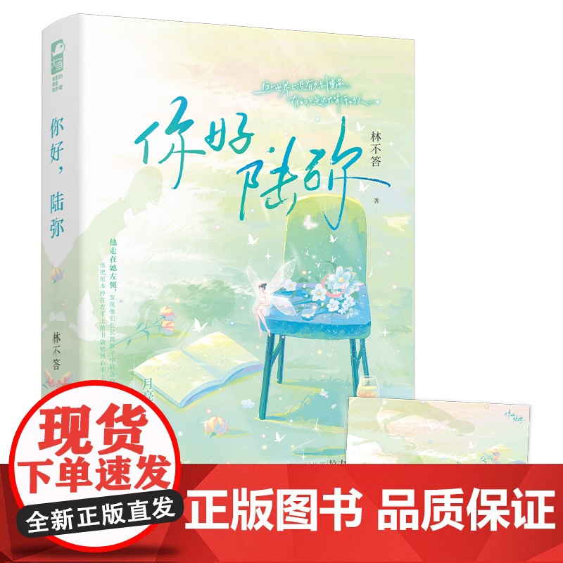 你好,陆弥 林不答 江苏凤凰文艺出版社 正版书籍