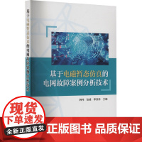 基于电磁暂态仿真的电网故障案例分析技术 韩伟,张峰,李琼林 编 建筑/水利(新)专业科技 正版图书籍 中国电力出版社