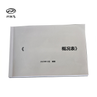 科纳飞 概况表(台帐) 定制款