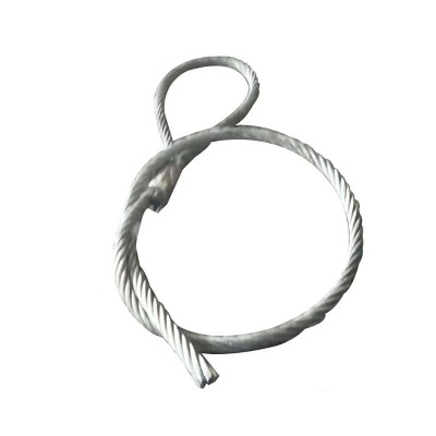 普拉塞(Plasser)钢丝绳吊具 12mmxA1m (个)