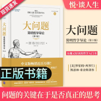 [正版图书]大问题 简明哲学导论第十版罗伯特所罗门好读外国西方哲学类史入门书籍经典再现哲学理论与流派生活的各种意义解决问