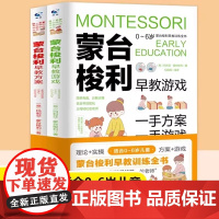蒙台梭利早教训练全书方案+游戏全套2册 0-6岁儿童早教全书培养宝宝专注力训练幼儿思维开发书籍蒙特梭利家庭教育百科启蒙认