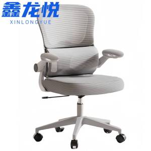 鑫龙悦 电脑椅 60*52*92cm 张