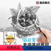 [正版]墨点美术新启蒙素描基础教程综合篇零基础学生小白绘画入门教程书籍带视频教学单体动物静物范例结构明暗排线绘图铅笔绘