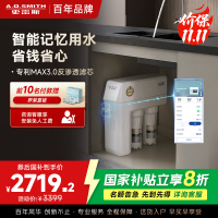 史密斯净水器家用整机保5年 3:1高水效专利MAX3.0反渗透滤芯1.6升/分钟厨下式直饮净水机R1600HWi-E