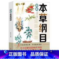 图解本草纲目 [正版]本草纲目李时珍原著中药中医中草药书籍 中医基础理论李时珍原著中医养生书籍大全中药书中草药书神农本草
