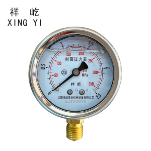 祥屹 耐震压力表 YTN60 块