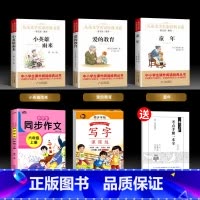 六上必读书+字帖+作文[火爆热卖] [正版]爱的教育小英雄雨来管桦童年书全套3册高尔基六年级必书读课外书经典书目原著完整