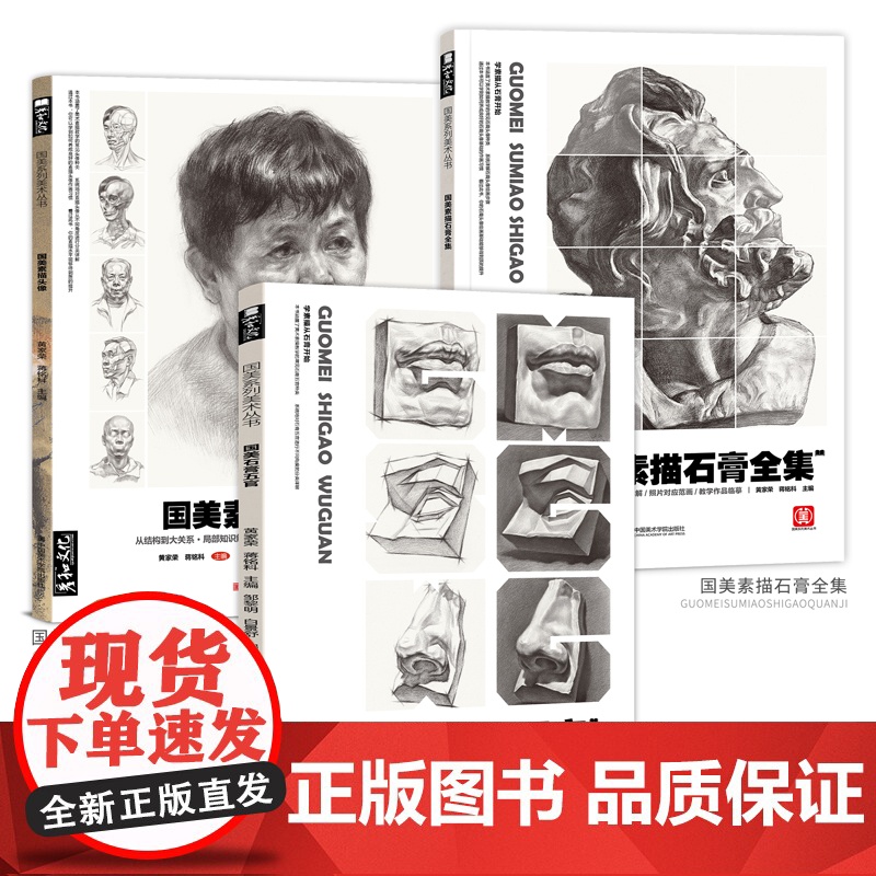 国美素描头像人物石膏五官头像临摹书全集教程范本照片联考高考校考专升本美术生对临面部结构绘画画教学对画写生五官局部大8开