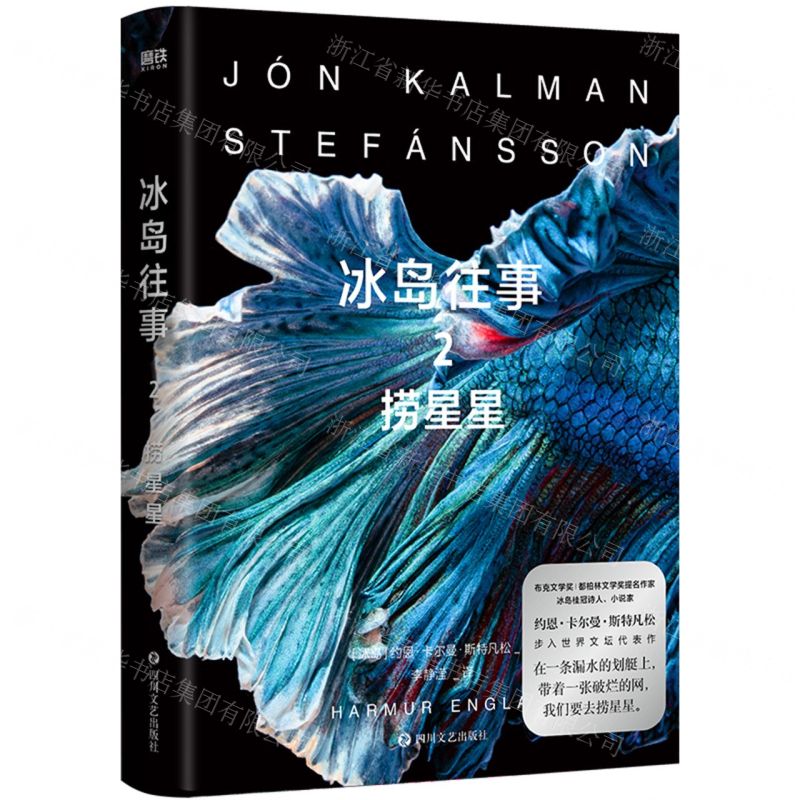 [N]冰岛往事(2捞星星)-9787541165207