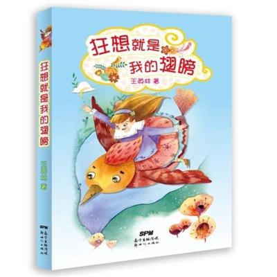 狂想就是我的翅膀书店王英林平装图画书书籍书