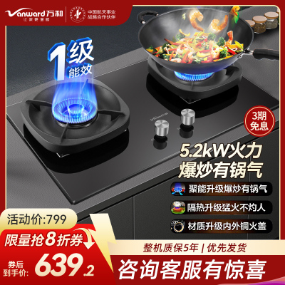 万和(Vanward) 超一级能效天然气双灶 双眼燃气灶 单灶具 5.2KW火力钢化玻璃 可调底座G6L50