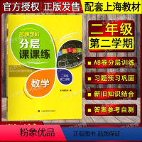 [正版]分层课课练 数学 2年级下/二年级第二学期 沪教版 上海小学数学课后AB卷练习辅导用书 上海科技教育出版社 小