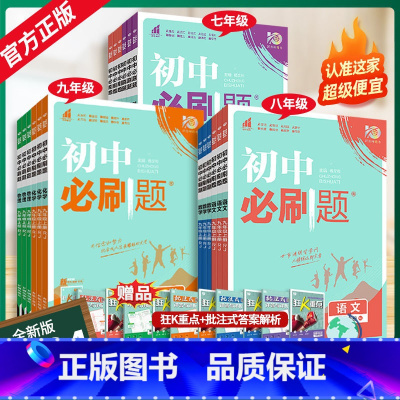 化学(人教版) 九年级下 [正版]初中2024版狂k重点初中数学七上八上九上初一二三小四门人教版789年级上下册语文英语