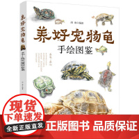 正版 养好宠物龟手绘图鉴 45种宠物乌龟巴西龟草龟黄耳大鳄龟黑靴特点生活环境搭建喂养方法 繁殖龟病防治饲养宠物龟 指导参