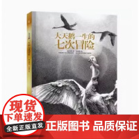 大天鹅一生的七次冒险 开国内动物小说钢笔图画书之先 沈石溪与国际获奖画家合作 中国动物小说大师的桂冠佳作 人民邮电出版社
