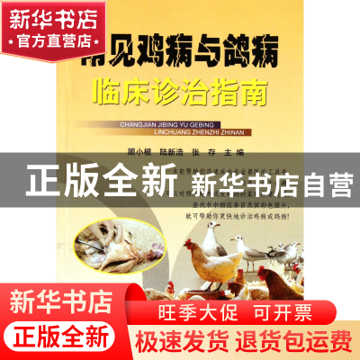 正版 常见鸡病与鸽病临床诊治指南 顾小根//陆新浩//张存 浙江科