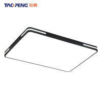 韬鹏 吸顶灯 126W 个