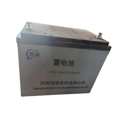 鏖耀 蓄电池 6-FDQ-20AH(12V,20AH) 个