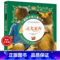 国际大奖儿童文学 美绘注音版-灵犬莱西 [正版]灵犬莱西 打动孩子心灵的动物经典 国际大奖儿童文学彩图注音版7-8-9-