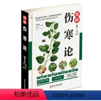 [正版]全彩图解伤寒论 解伤寒杂病论张仲景中医养生四大名著经典书籍保健养生中医入门级书 金匮要略温病条辨千金方本草 9