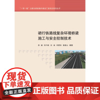 骑行铁路线复杂环境桥梁施工与安全控制技术 李超 刘中良 吕金 何爱东 陈振山编著