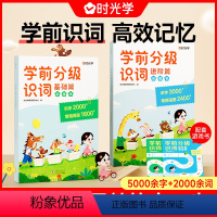 全4册[基础+进阶]识词书+游戏书 [正版]时光学学前分级识词书幼小衔接基础篇进阶篇识字认词游戏书幼儿园宝宝识字识词启蒙