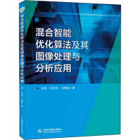 音像混合智能优化算法及其图像处理与分析应用刘伟,叶志伟,王明威