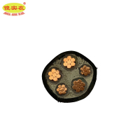 傻实在 电缆 国标全项保检 YJV 3*25mm²+2*16mm² 米
