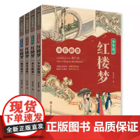 [4册可选]少年读红楼梦 木石前盟+金玉相逢+繁华成空+群芳流散 蔡丹君 正版 儿童文学 青岛出版社 中小学青少年课