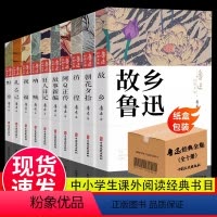 全10本鲁迅全集正版经典小说 [正版]鲁迅全集原著10册 六七年级阅读书课外阅读书籍朝花夕拾狂人日记故乡野草呐喊彷徨阿Q