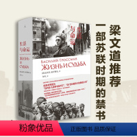 [正版]生活与命运 瓦西里 格罗斯曼 梁文道 欧美书界誉为当代的《战争与和平》俄国小说 图书