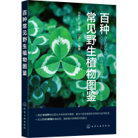 音像百种常见野生植物图鉴邹良栋、陈杏禹、白百一 编著