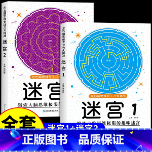 [全套2册]迷宫①+② [正版]抖音同款魔线专注力训练左右脑开发思维训练书迷宫书籍幼儿园高难度小学生2-3一6-7-8-