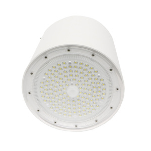 领航电器(LHDQ) LHF2923G LED筒灯( 明装) 50W 冷光 220V IP65 白色