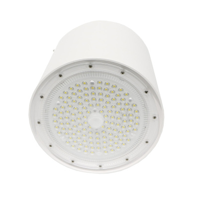 领航电器(LHDQ) LHF2923G LED筒灯( 明装) 50W 冷光 220V IP65