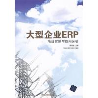 正版新书]大型企业ERP项目实施与应用分析燕福龙9787302302919